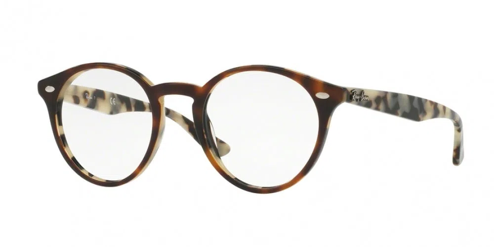 Ray-Ban 2180V Eyeglasses - view 5